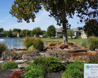 The Duck Pond At Raintree Lake