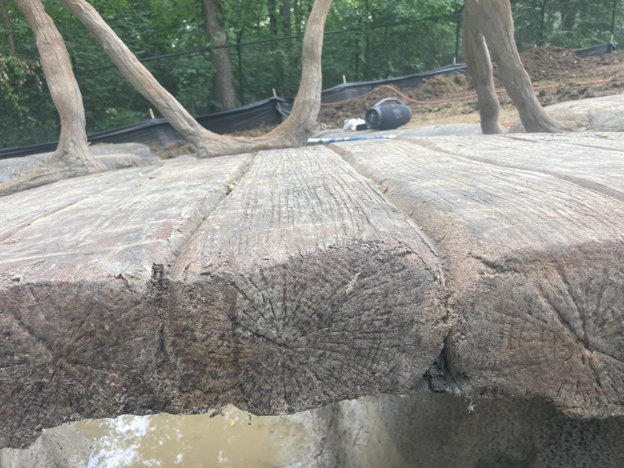 Bridge walking planks