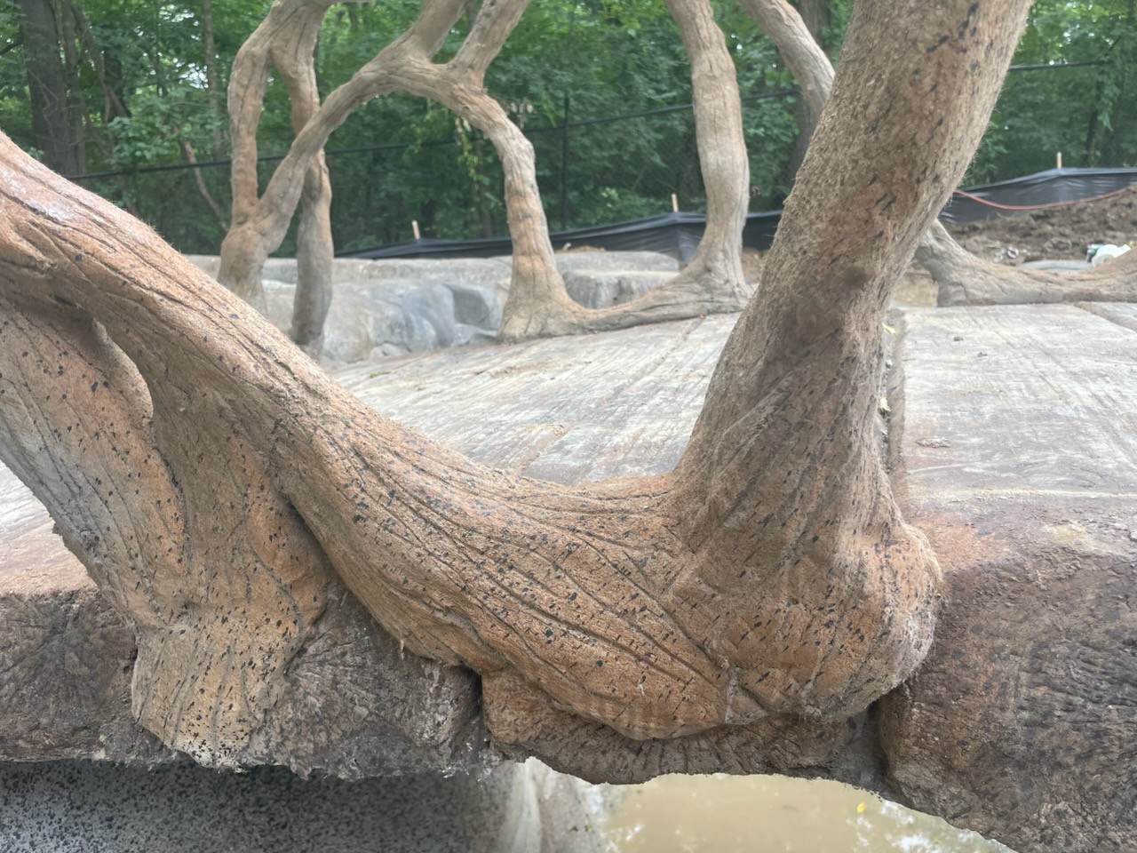 Branch Railings